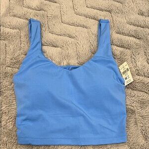 Aerie Sky Blue Crop Top
